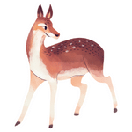 Deer (डियर)