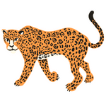 Jaguar (जगुआर)