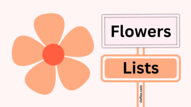 flower names in hindi and english | flowers name hindi to english