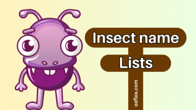 insects name in english and hindi