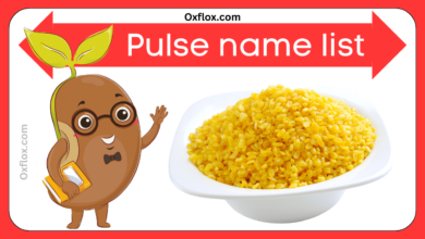 pulses examples in english