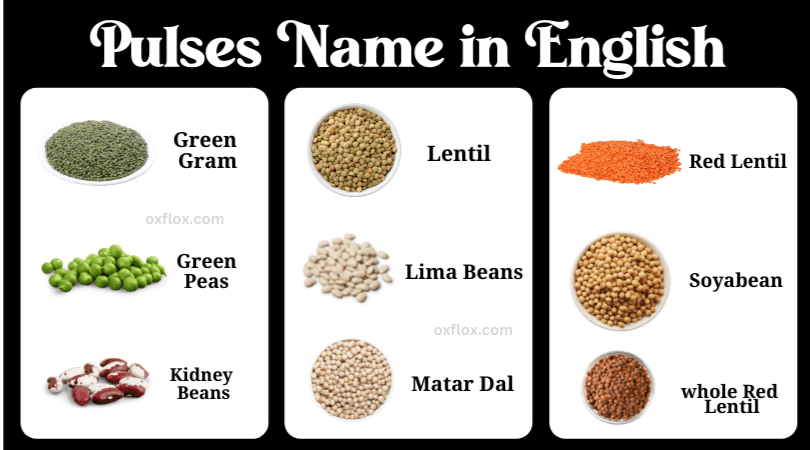 pulses name hindi and english