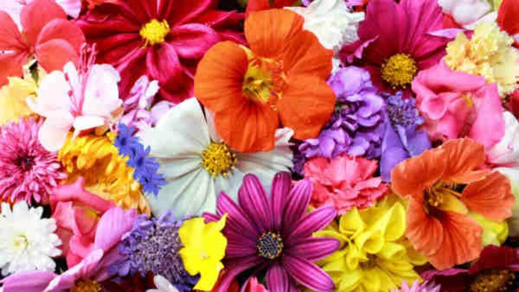 names of fragrant flowers in hindi