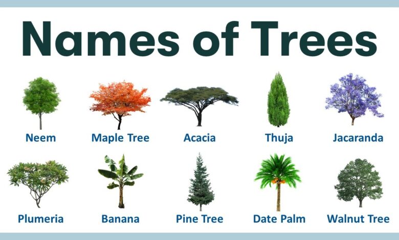 100 trees name in english and hindi