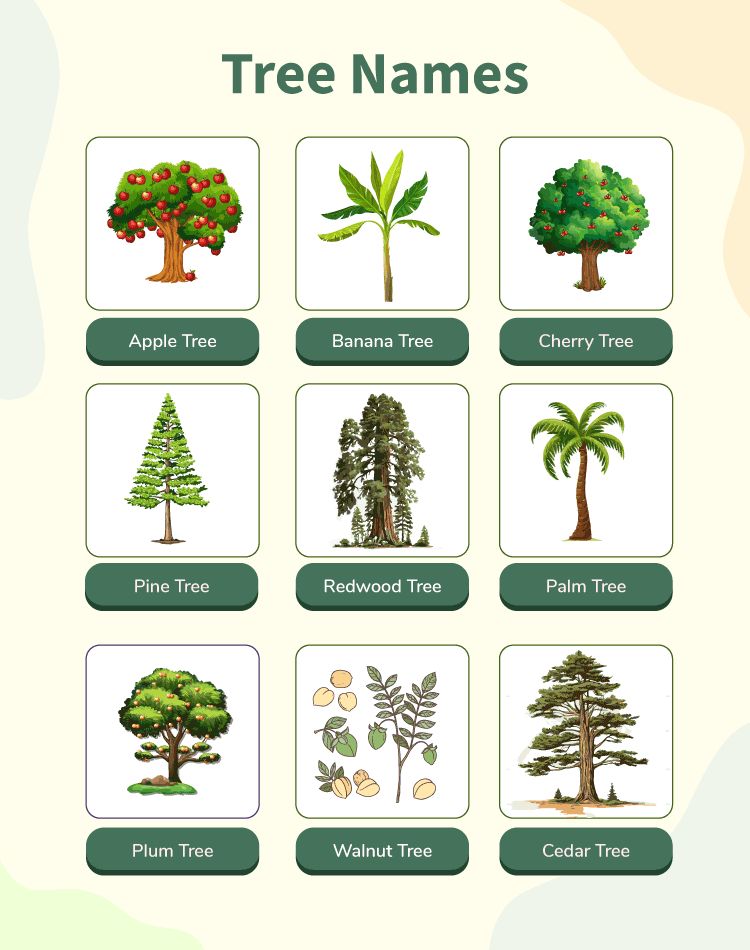 trees name in english and hindi with pictures