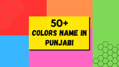 50 Colors name in Punjabi | ਪੰਜਾਬੀ ਵਿੱਚ ਰੰਗ ਦਾ ਨਾਮ