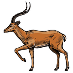 Antelope (एंटलोप)