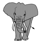 Elephant (एलीफेंट)