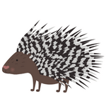 Porcupine (पार्क्यूपाइन)