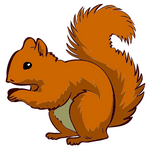 Squirrel (स्क्वरल)