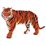 Tiger (टाइगर)