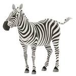 Zebra (जेब्रा)
