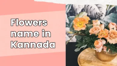 Flowers name in Kannada