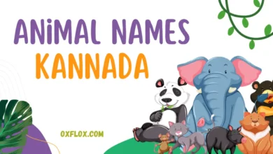 Animal names in Kannada