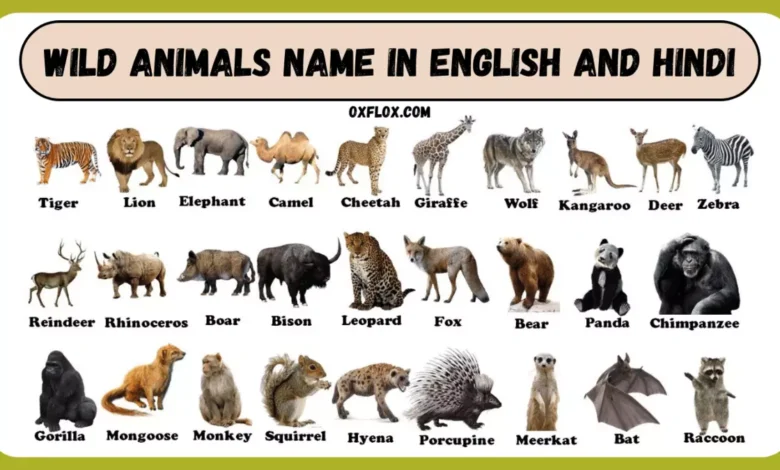 Wild Animals Name in Hindi and English