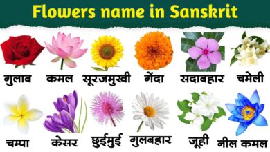 Flowers name in Sanskrit